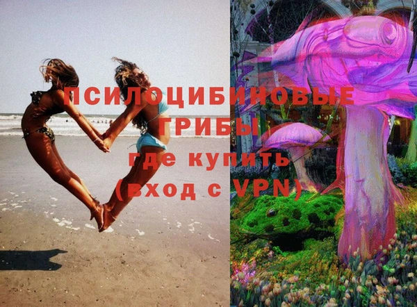 прущие крисы Дмитровск
