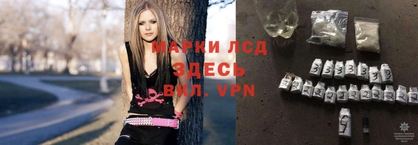 шишки Дмитров