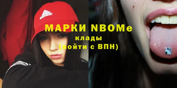 шишки Дмитров