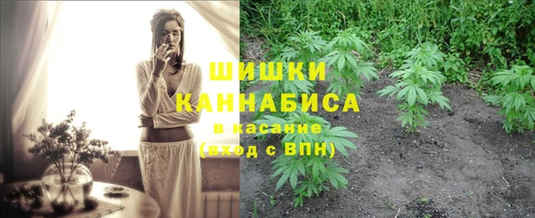 шишки Дмитров