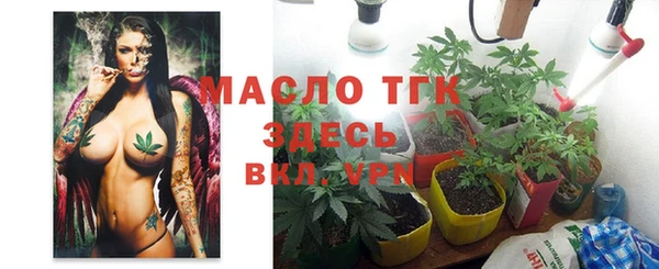 шишки Дмитров