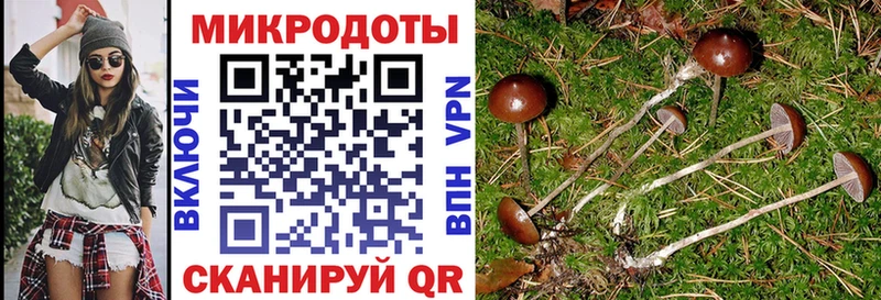 Псилоцибиновые грибы мухоморы  Купить где  Кирово-Чепецк 